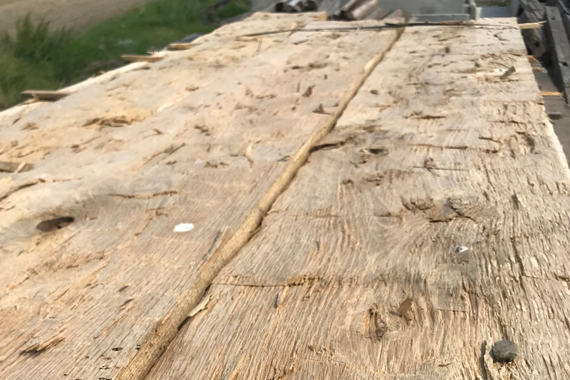 White Oak Hand-Hewn Skins