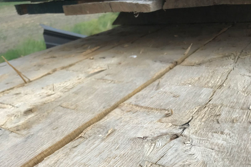 White Oak Hand-Hewn Skins