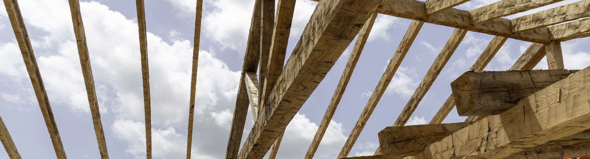 White Oak Hand-Hewn Skins
