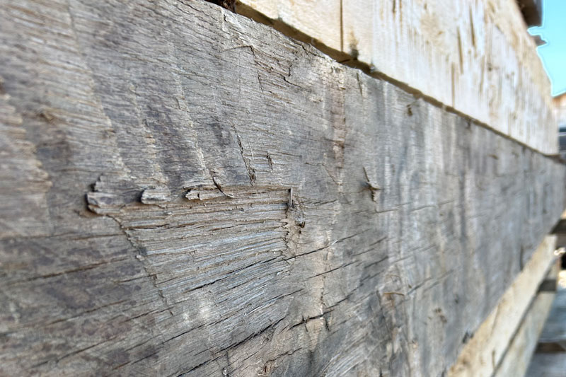 White Oak Hand-Hewn Timbers