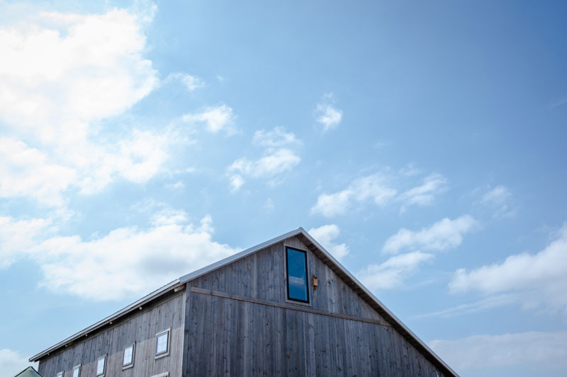 Wire-Brushed Gray Shiplap